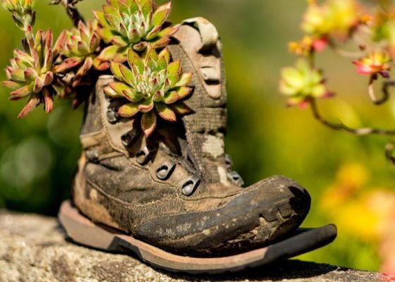Walk the Camino de Santiago - The Portugese Way thumbnail image