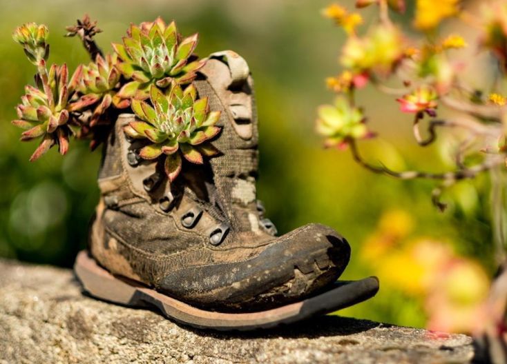 Walk the Camino de Santiago - The Portugese Way